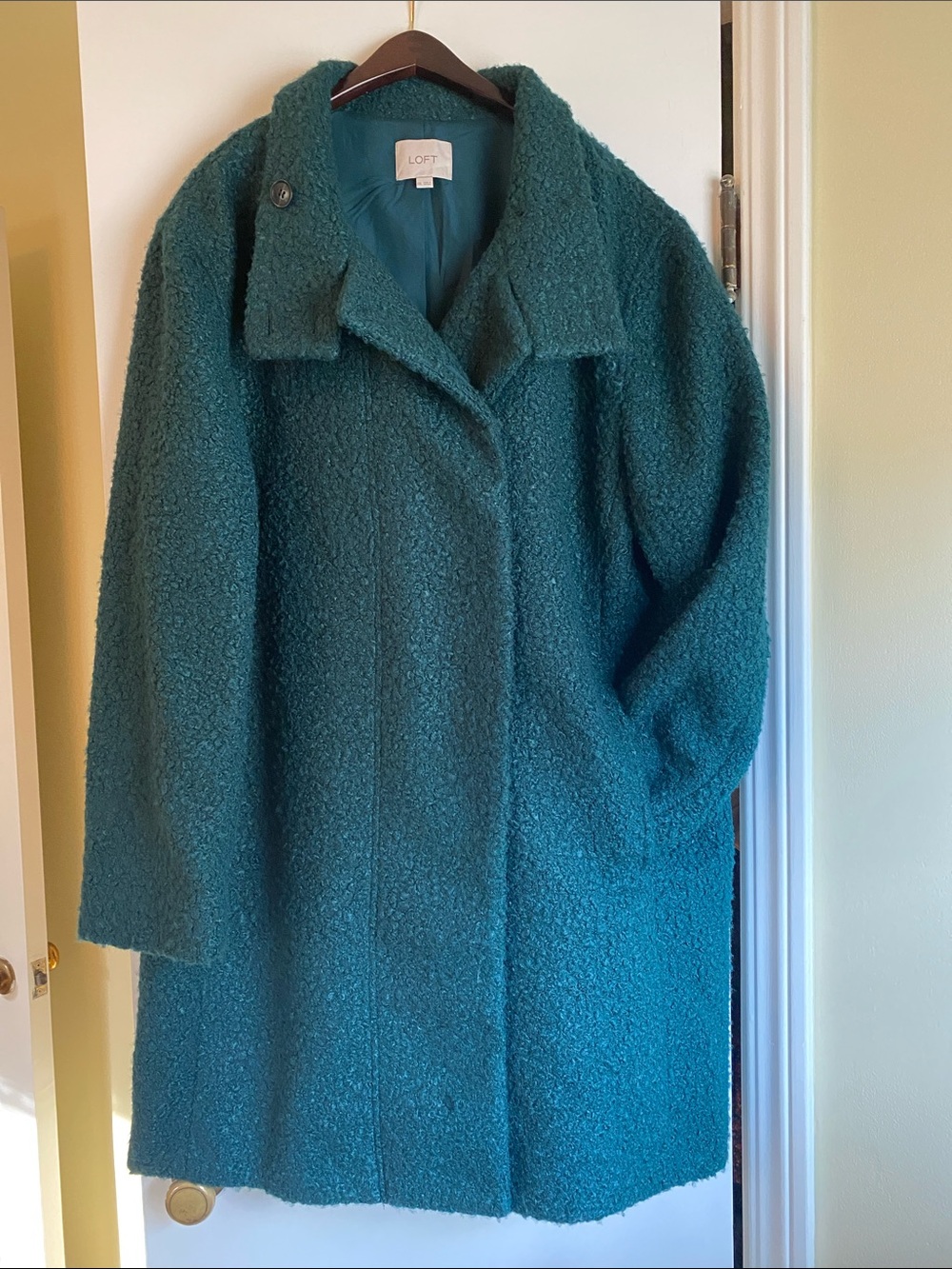 LOFT Teal Teddy Bouclé Coat - Plush Women's Jacket